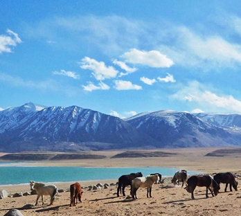 Julley Ladakh